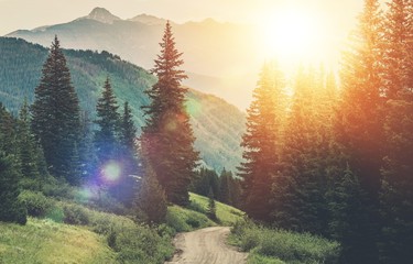 举例说明种群、群落、生态系统三者有何区别-