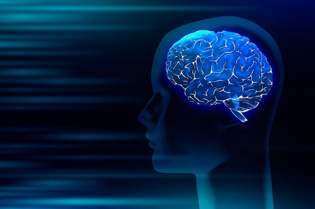 什么是生物科学和自然科学生物科学和自然科学是什么