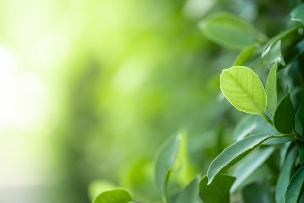 什么是生物科学和自然科学生物科学和自然科学是什么